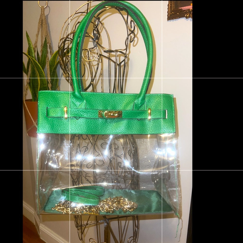 Super Chic Beautiful Green and Clear Bag